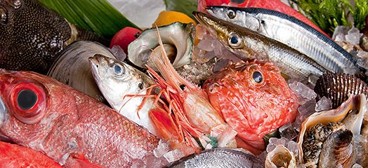 築地仕入れの「海鮮」