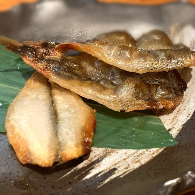 メヒカリの一夜干し
白身魚ですが、旨みのある脂がのっています。

This is a dried fish called Greeneyes.

🍣つきぢ神楽寿司🍣
赤酢を使った赤シャリと厳選されたネタが自慢の寿司屋です。
店舗によって仕入れ状況や調理法が異なります。

🍣TsukiziKaguraSushi🍣
This sushi restaurant is located in Tsukiji, Tokyo.

#メヒカリ干物#メヒカリ
#つきぢ神楽寿司#赤シャリ
#赤酢#お寿司
#sushi#寿司#江戸前寿司
#海鮮丼
#豊洲ランチ#築地ランチ
#築地#豊洲#豊洲市場
#千客万来#豊洲千客万来
#tukiji#toyosu
#tukijimarket#toyosumarket